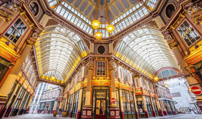 Harry Potter walking tour private