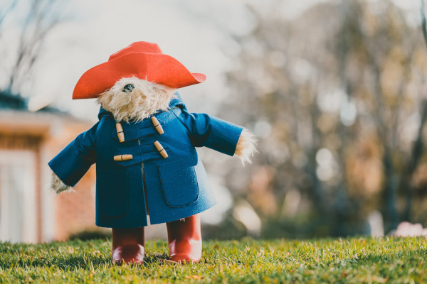 paddington bear