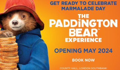 paddington bear experience