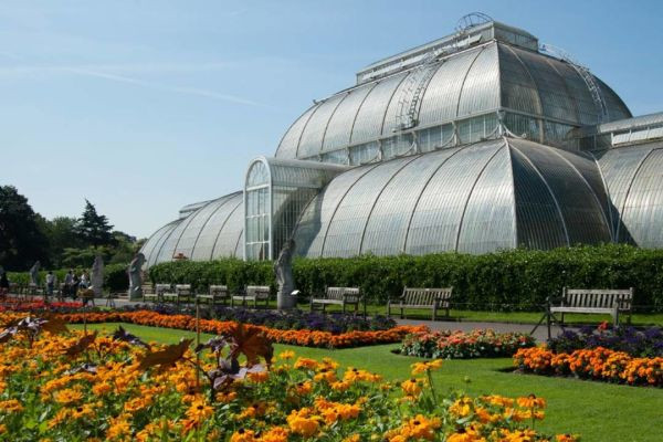 palm house kew gardens