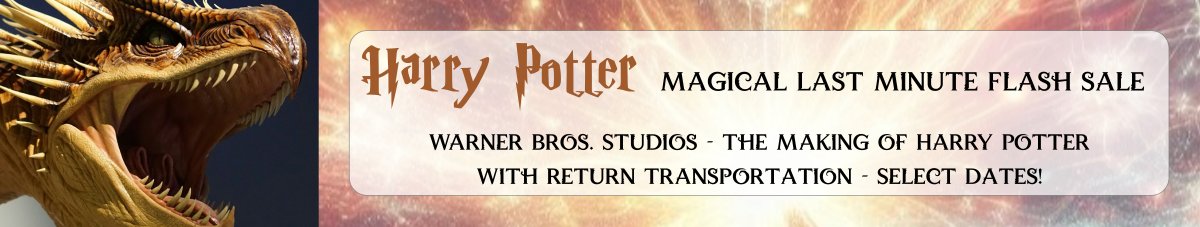 Harry Potter Flash Sale Banner