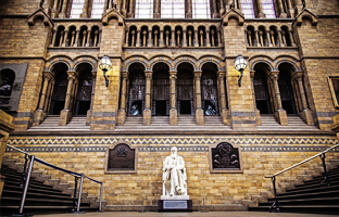 Natural History Museum London
