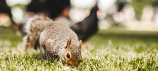 Landmarks and theatres near Paddington Station